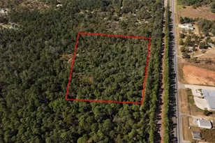 000 Tbd Parrish Trail, Montgomery, TX 77356 - Photo 5