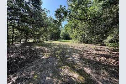 Tract 4 Fcr 611, Teague, TX 75860 - Photo 9