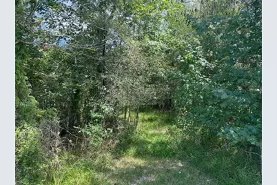 000 Pinewood, Sour Lake, TX 77659 - Photo 3