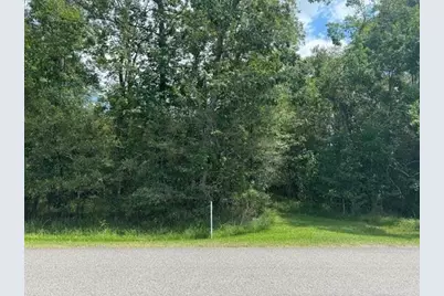 000 Pinewood, Sour Lake, TX 77659 - Photo 5