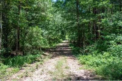Tbd Co Rd 3000, Woodville, TX 75979 - Photo 3