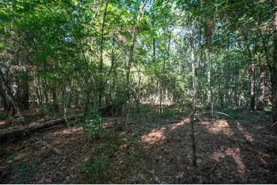 Tbd Co Rd 3000, Woodville, TX 75979 - Photo 11