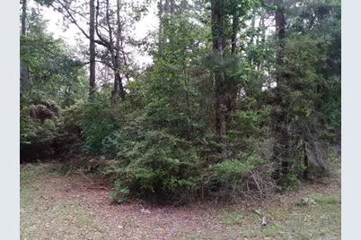 Lot 26 Elk Street, Onalaska, TX 77360 - Photo 23