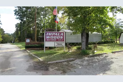 Lot 26 Elk Street, Onalaska, TX 77360 - Photo 1