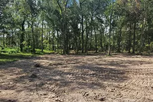 26994 Center St, Splendora, TX 77372 - Photo 1