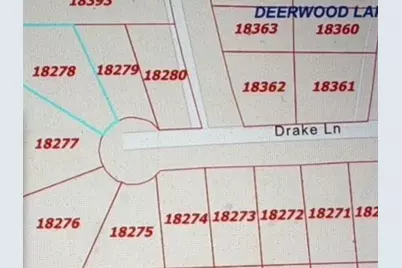 Lot 34 Drake Lane, Hempstead, TX 77445 - Photo 1