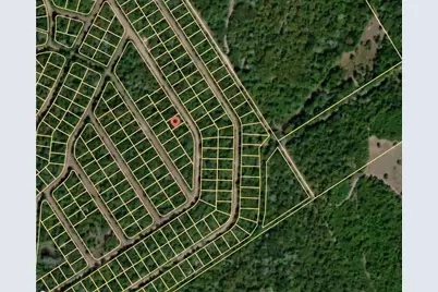 Lot 4 E Austin Colony, Normangee, TX 77871 - Photo 3