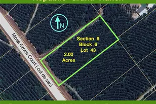 11855 Moss Grv Ct, Willis, TX 77378 - Photo 1