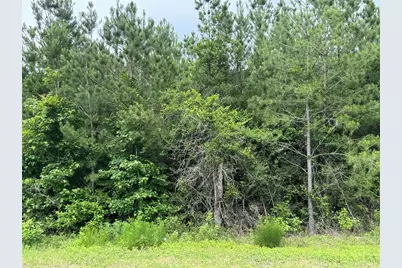 11855 Moss Grove Court, Willis, TX 77378 - Photo 5