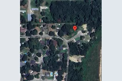 25785 Tupelo Circle, Splendora, TX 77372 - Photo 3