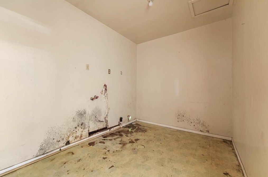 7425 Rhobell St, Houston TX  77016-3938 exterior
