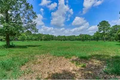 Tract A Bailey Grove Road, Montgomery, TX 77356 - Photo 9