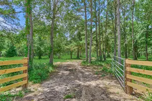 Tract A Bailey Grove Rd, Montgomery, TX 77356 - Photo 1