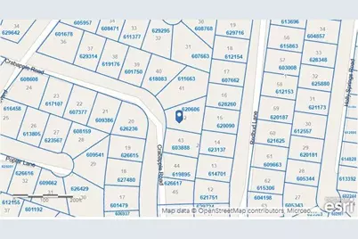 Lot 42 Crabapple Road, Normangee, TX 77871 - Photo 3