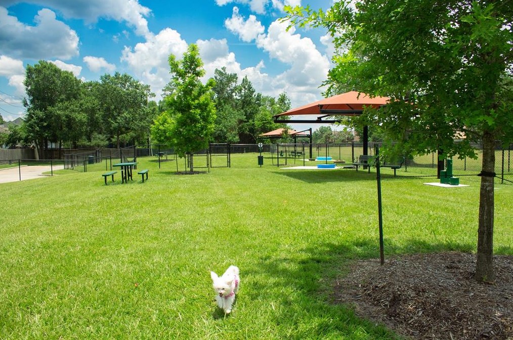 16626 Aldenham Pl, Spring TX 77379-7539 exterior