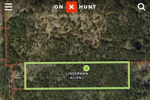 Tbd Roy Webb Rd, Huntsville, TX 77320 - Photo 1