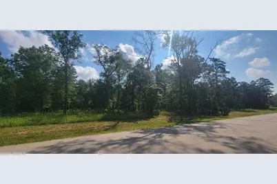 1505 County Road 632, Dayton, TX 77535 - Photo 3