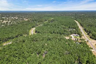 15720 Frst Grv Dr, Willis, TX 77378 - Photo 13