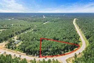 15720 Frst Grv Dr, Willis, TX 77378 - Photo 1