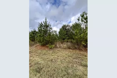 499 County Road 5017, Cleveland, TX 77327 - Photo 1