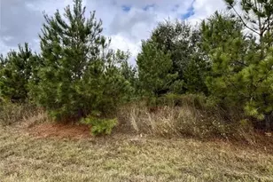 499 County Rd 5017, Cleveland, TX 77327 - Photo 1