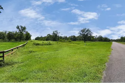 1215 China Grove Drive, Rosharon, TX 77583 - Photo 13