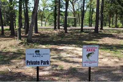 Tract 142 Private Road 1311, Centerville, TX 75833 - Photo 5