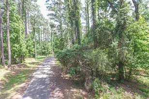 Tbd S Grand Pine Circle, Livingston, TX 77351 - Photo 1