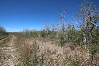 Tbd Texas Hwy 288 S, Rosharon, TX 77583 - Photo 9