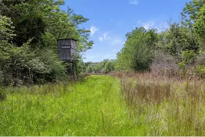 +/- 400 Ac Fm 2289, Normangee, TX 77871 - Photo 5