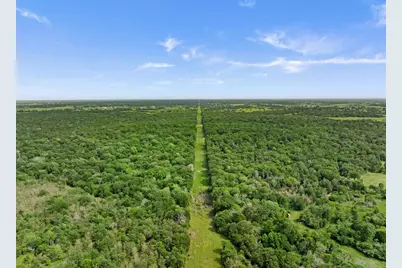 +/- 400 Ac Fm 2289, Normangee, TX 77871 - Photo 11