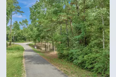 Tbd Commodore and Brame Drive, Livingston, TX 77351 - Photo 1