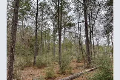 Tbd Cr 4520, Warren, TX 77664 - Photo 3