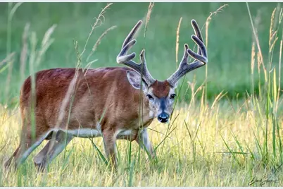 Fm 521 Barx Ranch Sec 17 Blk 3, Angleton, TX 77515 - Photo 5