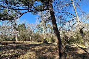 2670 Fm 980 Road N, Point Blank, TX 77364 - Photo 7