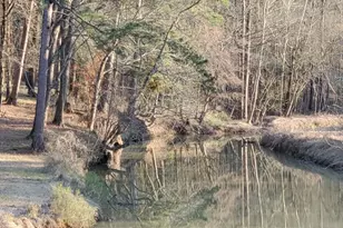 202 Beaver Den Dr, Coldspring, TX 77331 - Photo 5