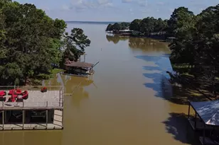 470 S Lakeview Dr, Point Blank, TX 77364 - Photo 33