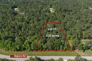 1 Bighorn Rd, Huntsville, TX 77340 - Photo 1