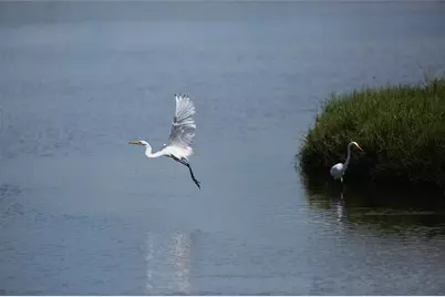 62 Water Key, Hitchcock, TX 77563 - Photo 29