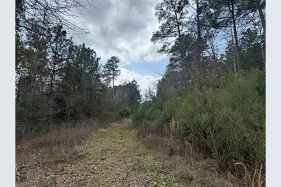 178 Stagecoach Circle, Huntsville, TX 77340 - Photo 5