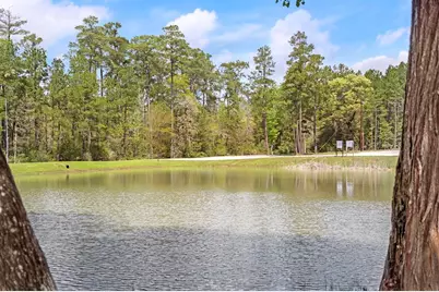 178 Stagecoach Circle, Huntsville, TX 77340 - Photo 25