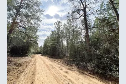 12 Cr 4415, Spurger, TX 77660 - Photo 15