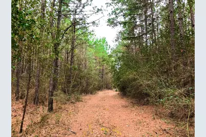 12 Cr 4415, Spurger, TX 77660 - Photo 3