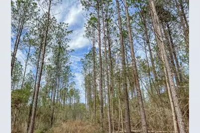 12 Cr 4415, Spurger, TX 77660 - Photo 21