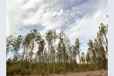 12 Cr 4415, Spurger, TX 77660 - Photo 17