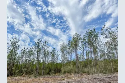 12 Cr 4415, Spurger, TX 77660 - Photo 23