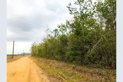 12 Cr 4415, Spurger, TX 77660 - Photo 5