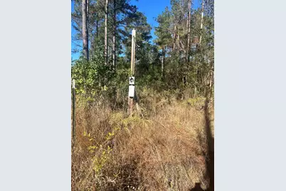 970 Josserand Rd, Groveton, TX 75845 - Photo 5