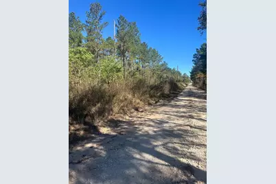 970 Josserand Rd, Groveton, TX 75845 - Photo 3