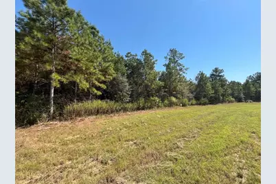 11723 Grand North Road, Willis, TX 77378 - Photo 5